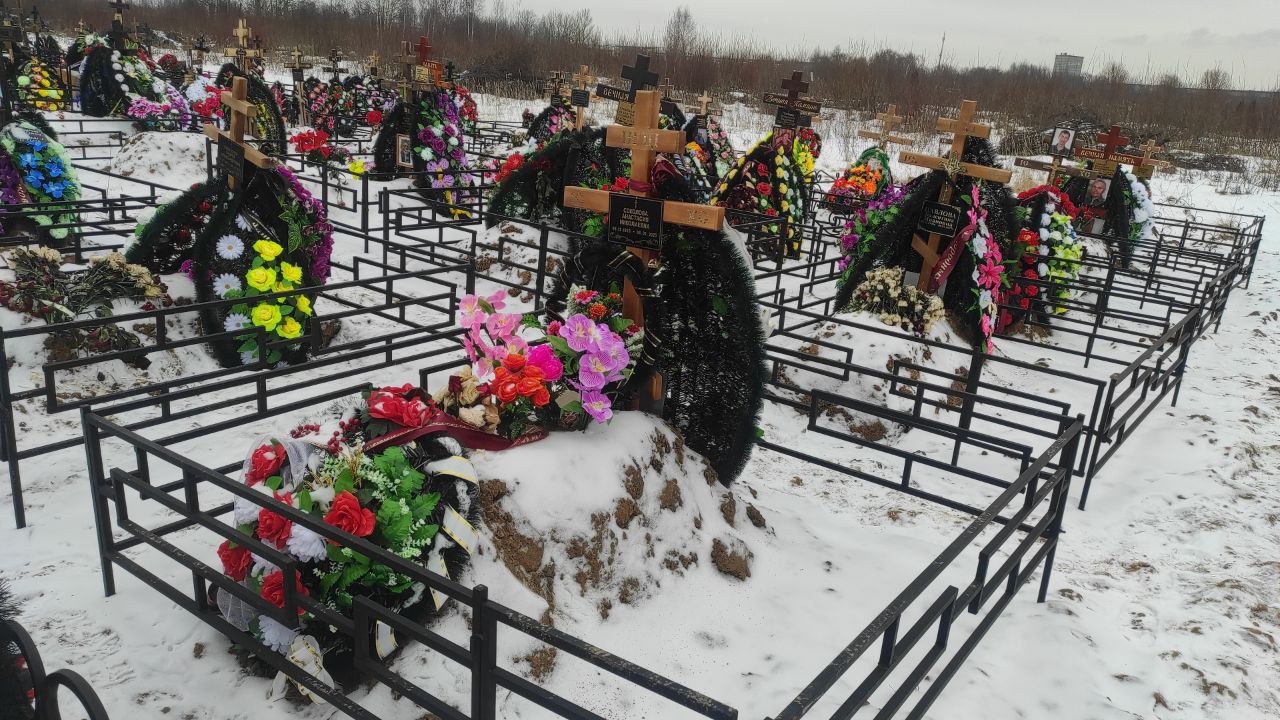 Соколова Анастасия Николаевна