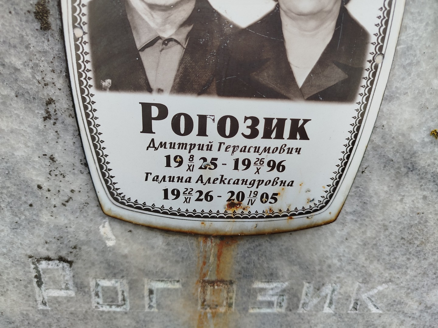 Рогозик