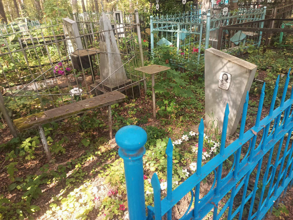 Черняева Анастасия Андреевна