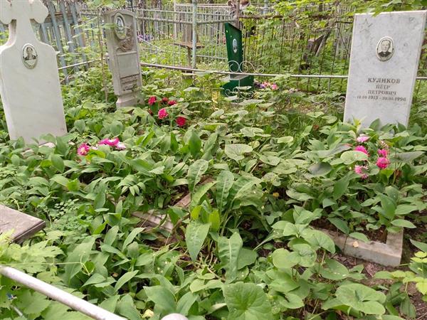 Куликов Петр Петрович