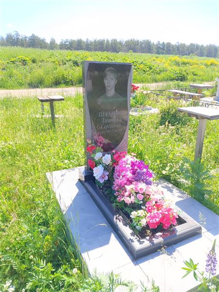 Шахмин Дмитрий Сергеевич