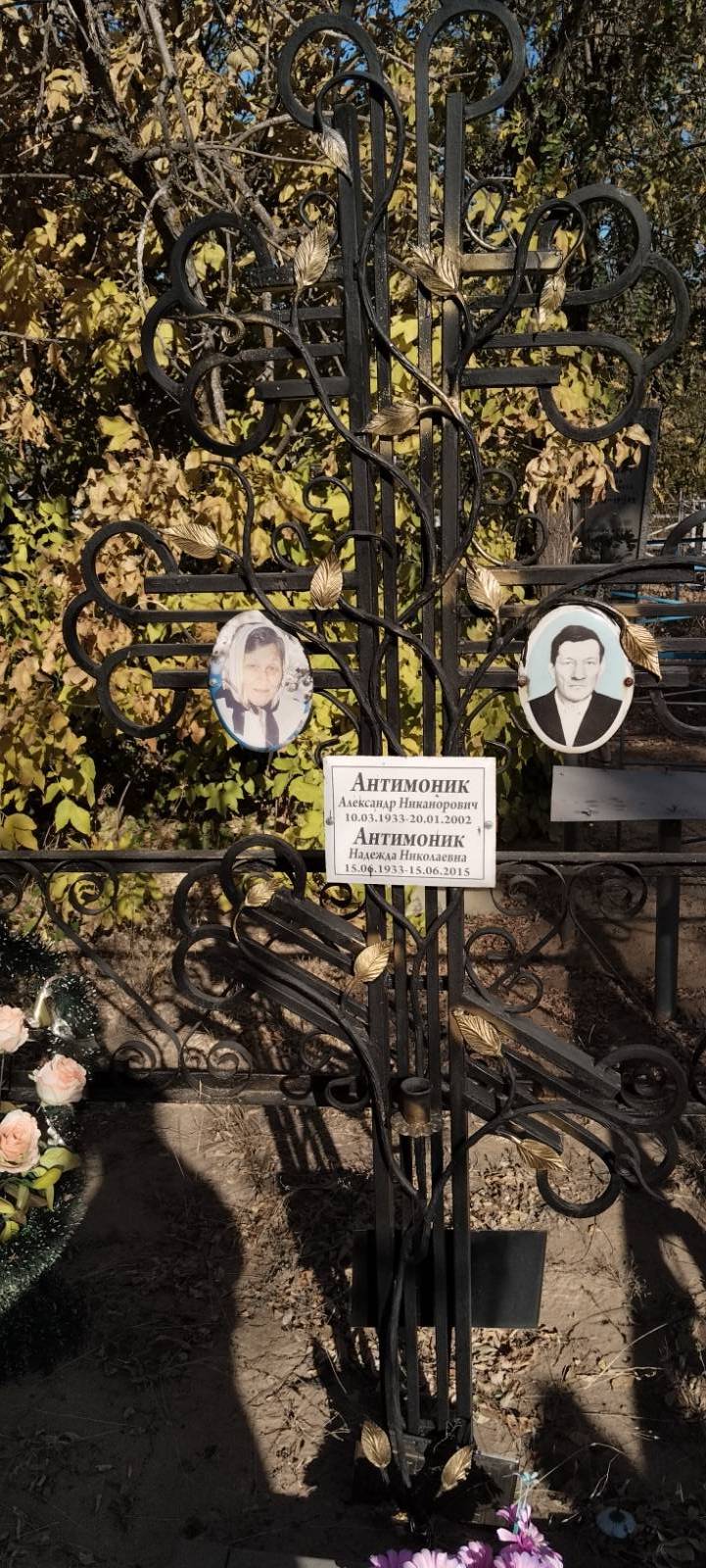 Антимоник Александр Никанорович