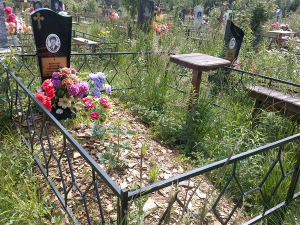 Коротаев Дмитрий Анатольевич