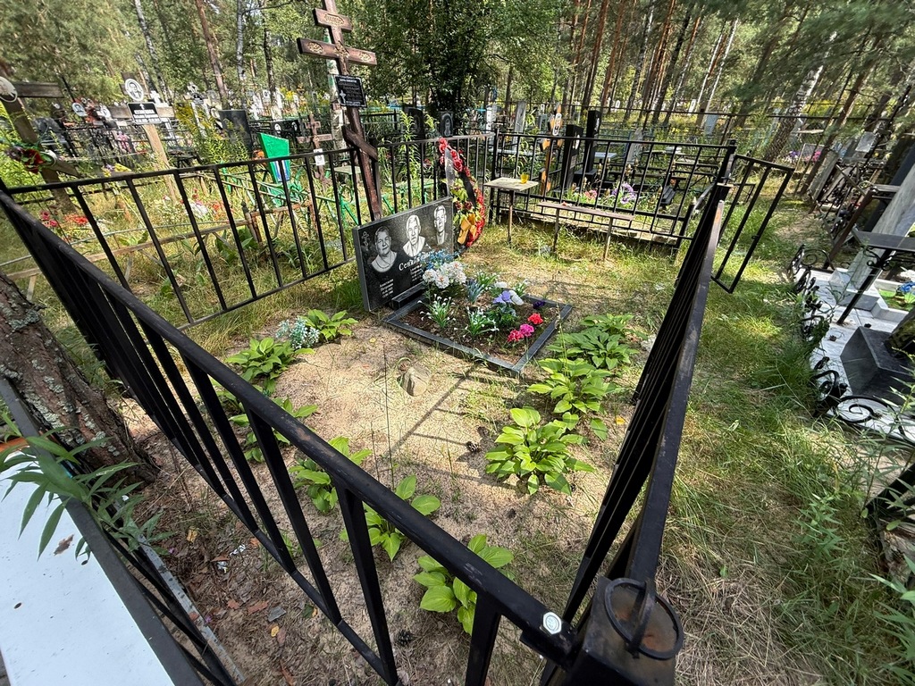 Сеняйкина Анастасия Петровна