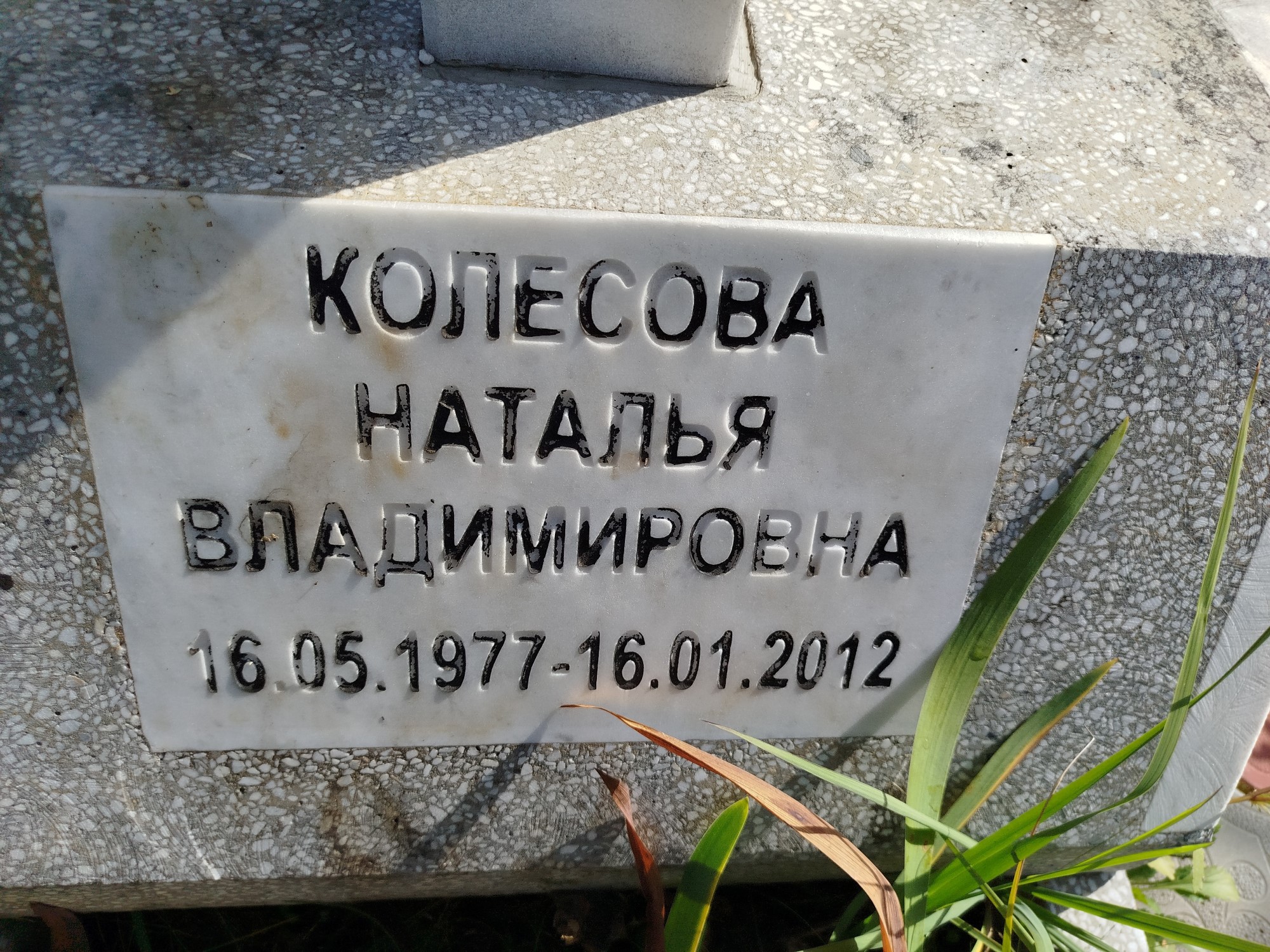 Колесова Наталья Владимировна