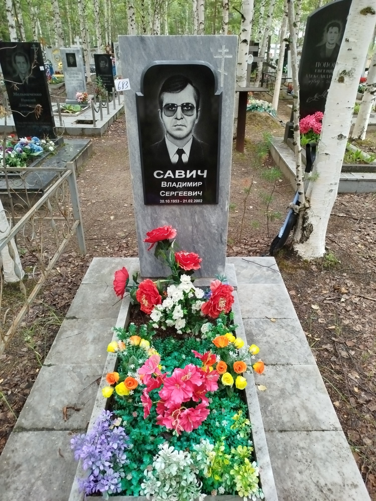 Савич Владимир Сернеевич