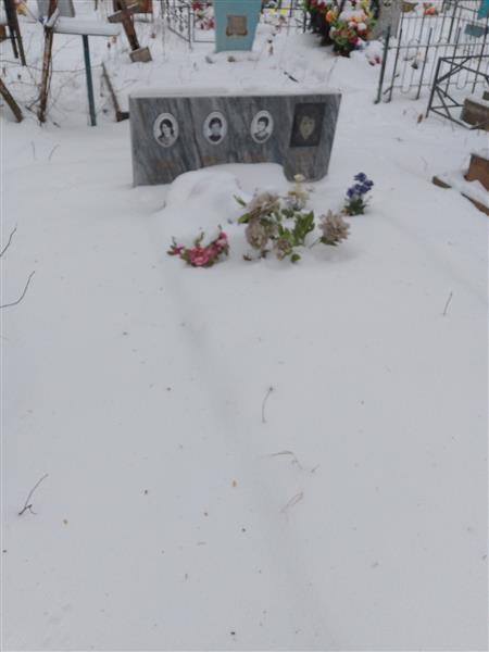 Негомедзянова Елена Константиновна