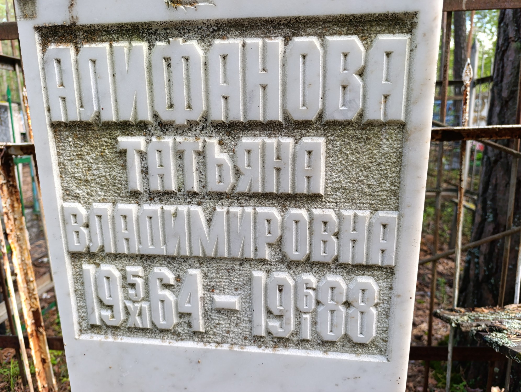 Алифанова Татьяна Владимировна