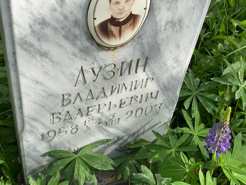 Лузин