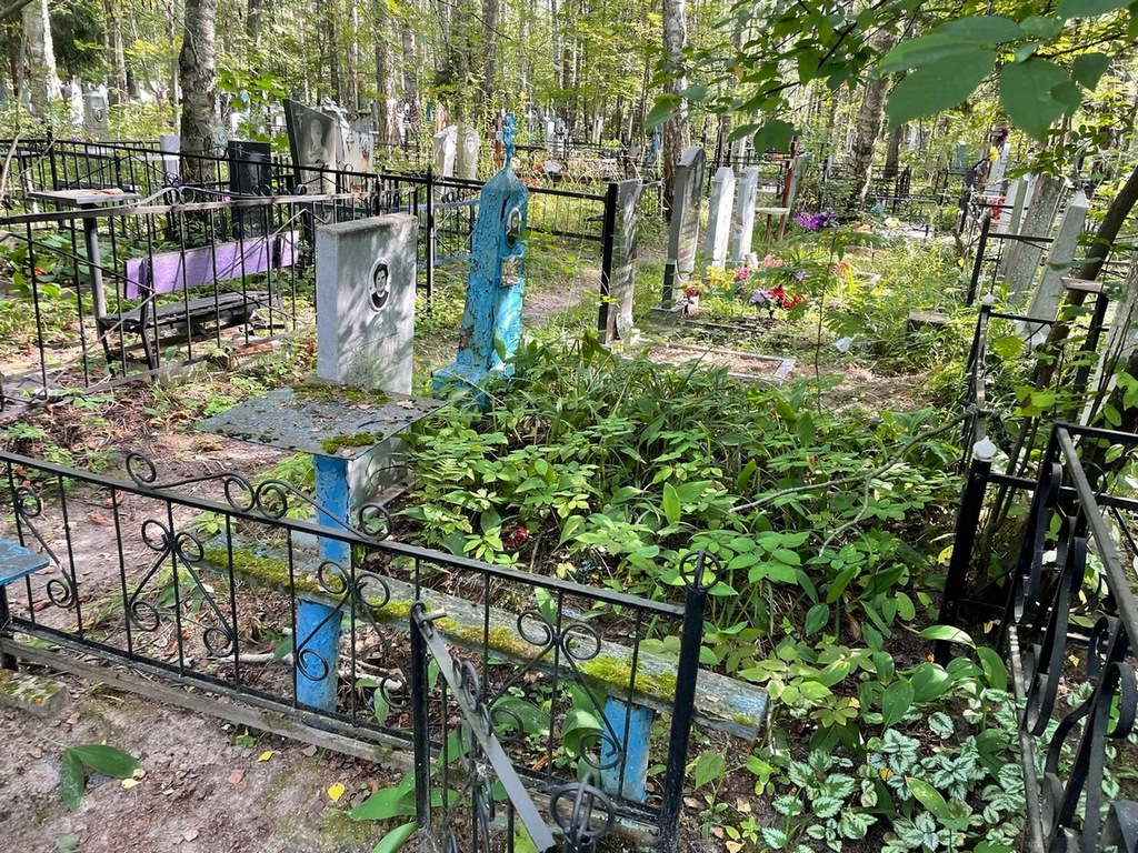 Сунина Анна Алексеевна