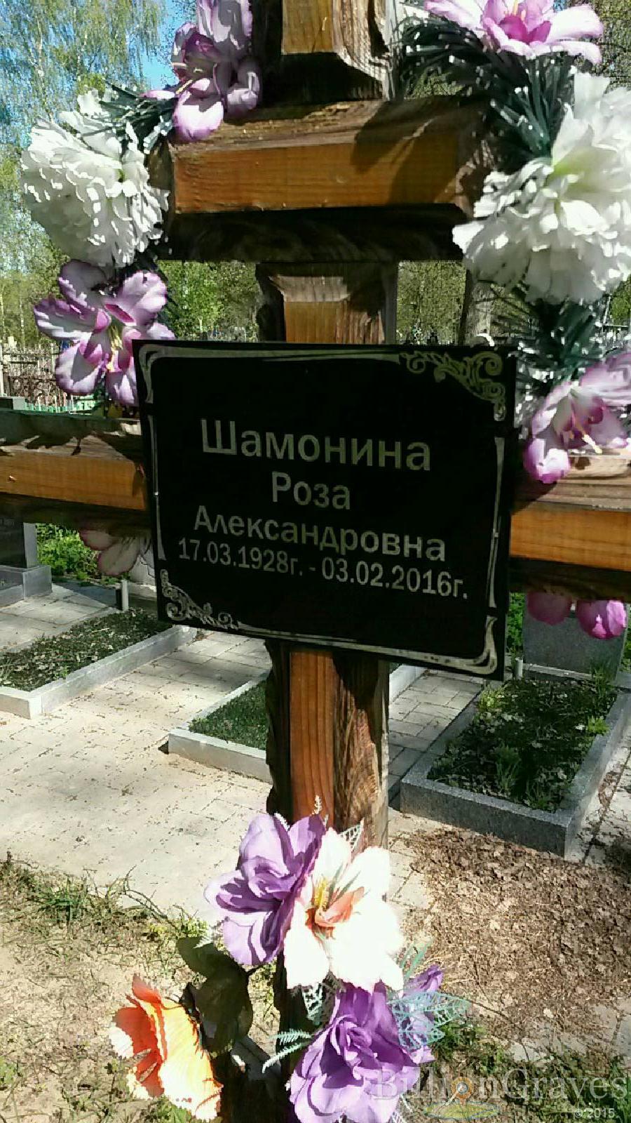 шамонина роза александровна