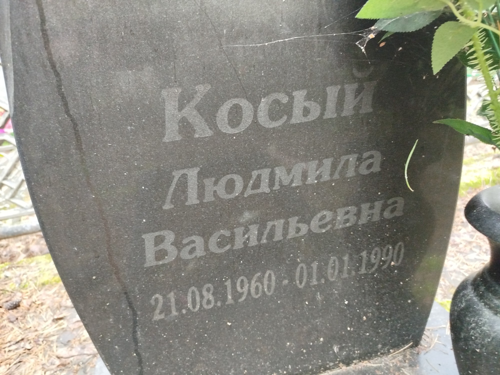 Косый Людмила Васильевна