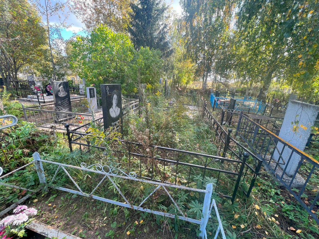 Черникова Александра Николаевна