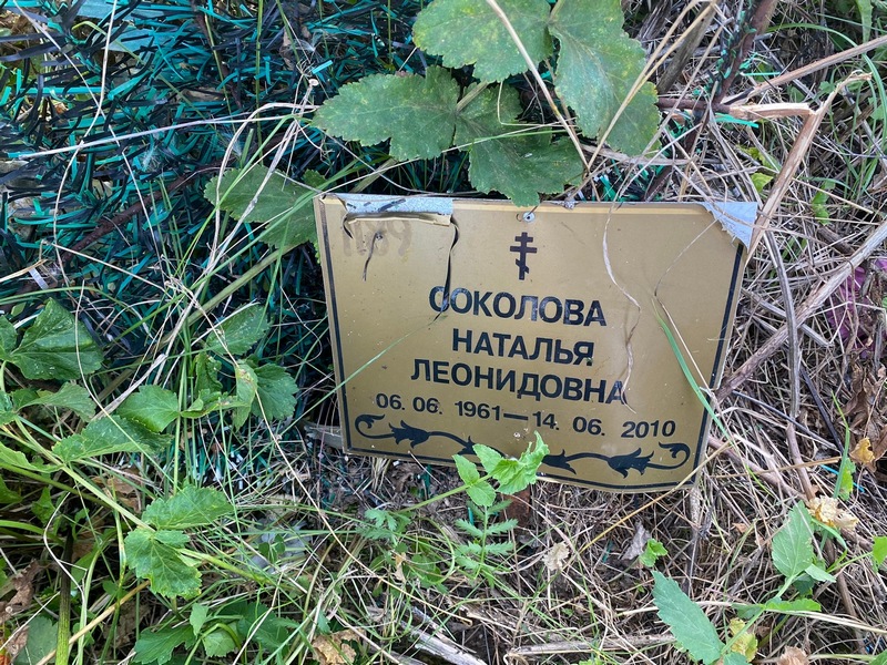Соколова