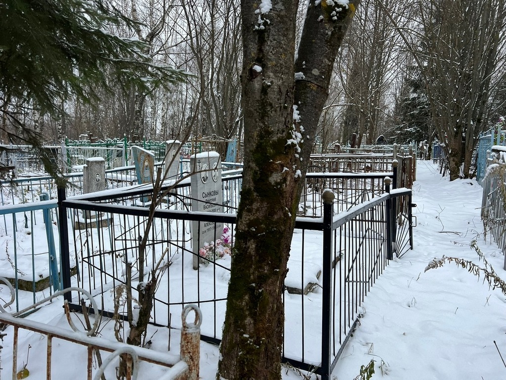 Сынков Дмитрий Васильевич