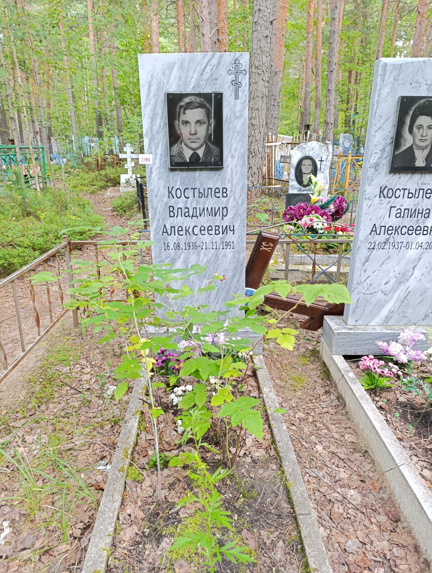 Костылев Владимир Алексеевич