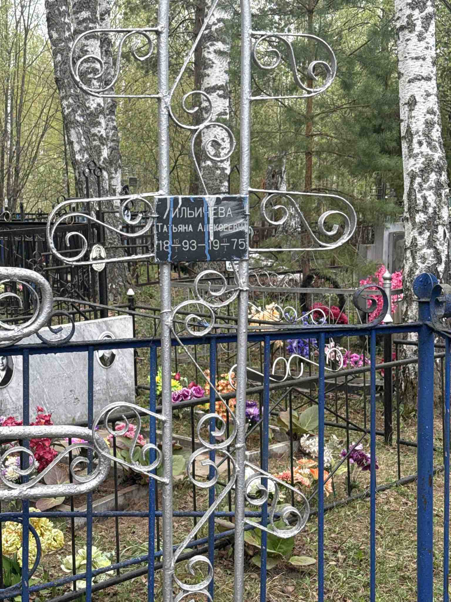 Ильичева Татьяна Алексеевна