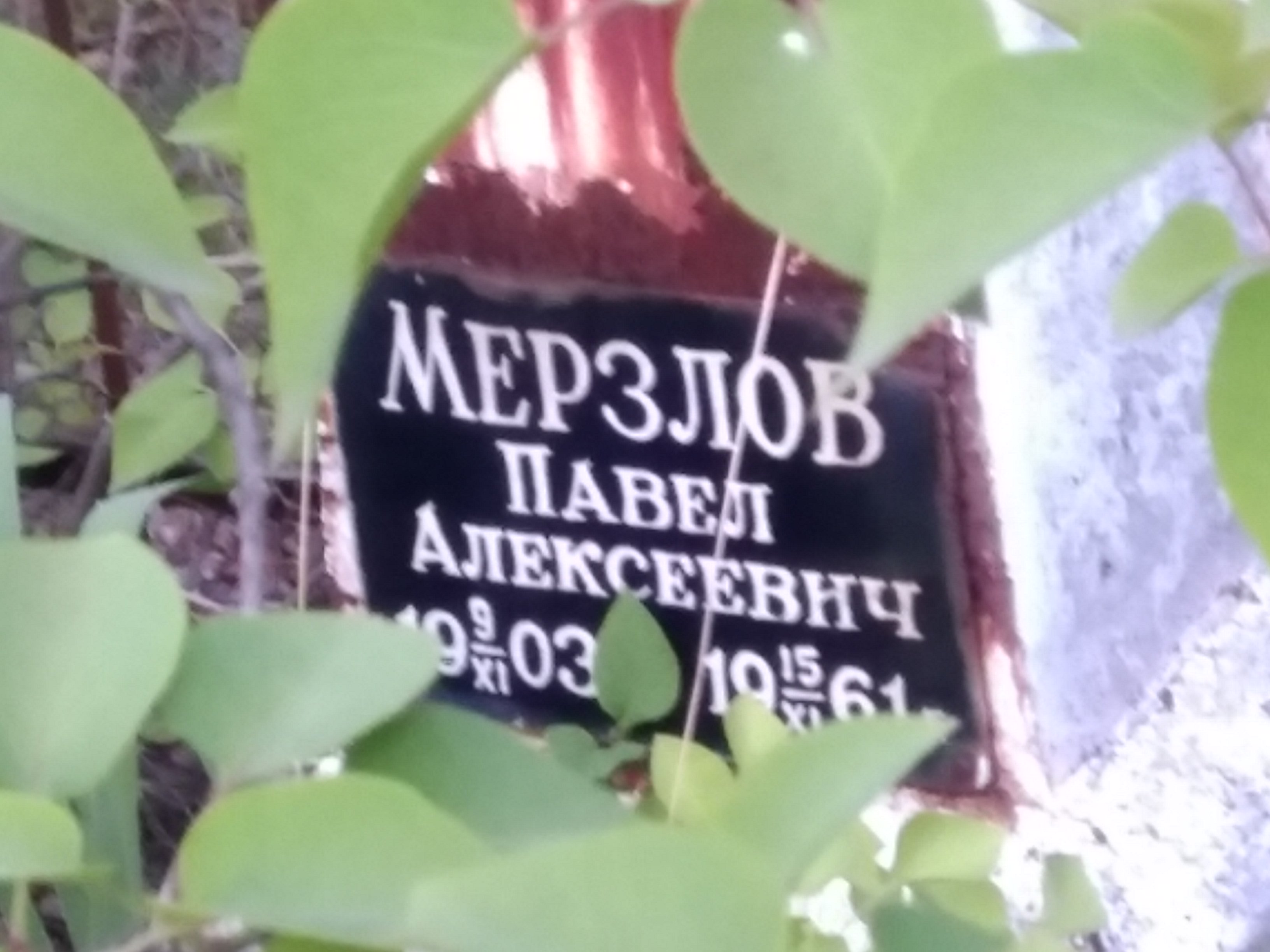 Мерзлов Павел Алексеевич