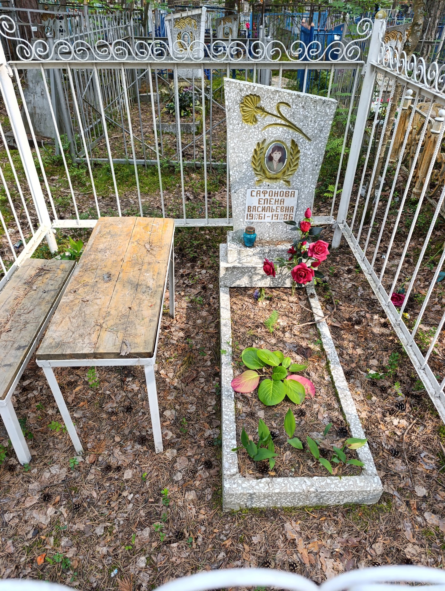 Сафонова Елена Васильевна