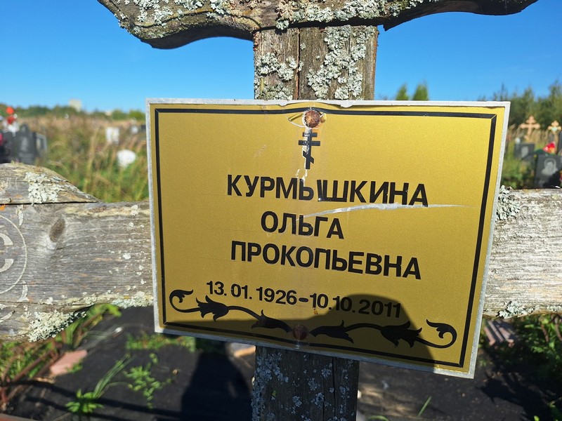 Курмышкина