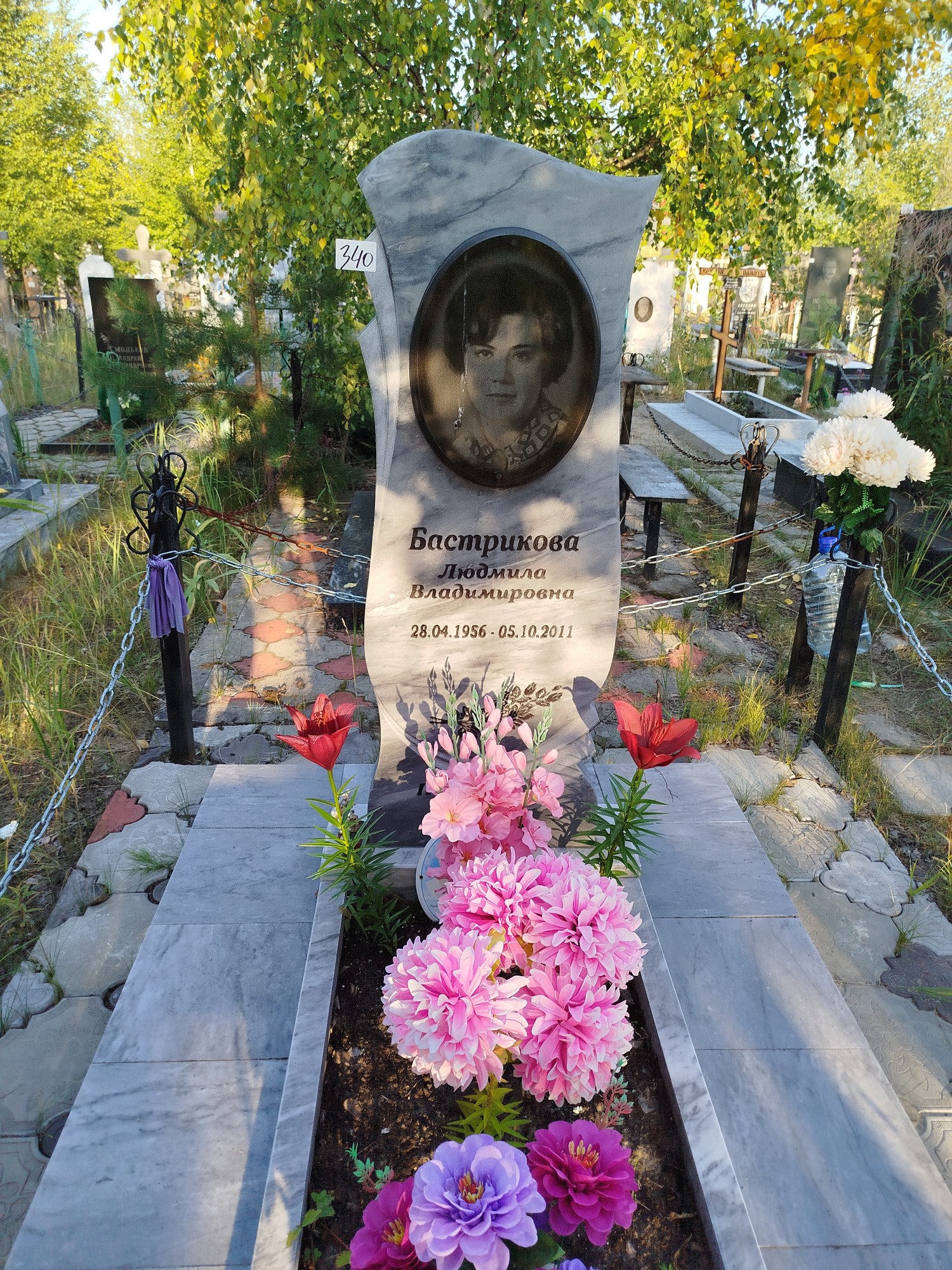 Бастрикова Людмила Владимировна