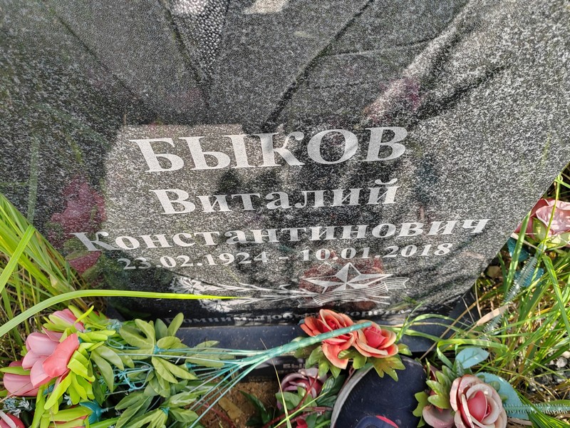 Быков