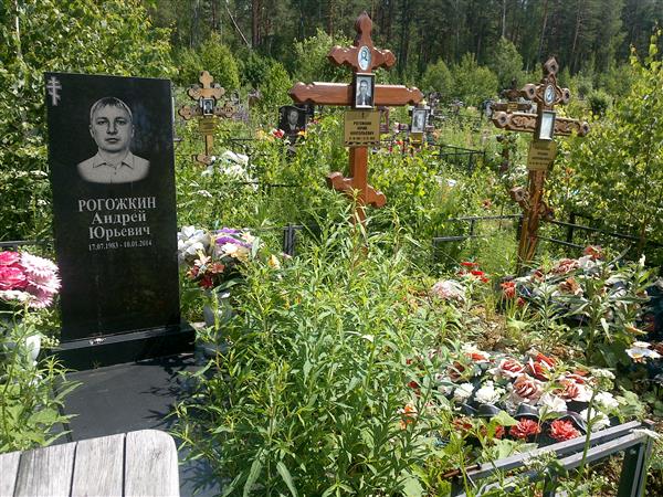 Рогожкин Андрей Юрьевич