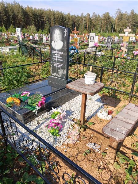 Степченко Михаил Владимирович