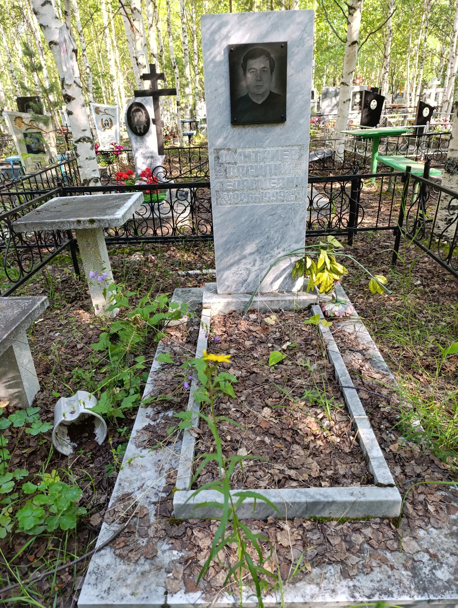 Дмитриев Василий Георгиевич