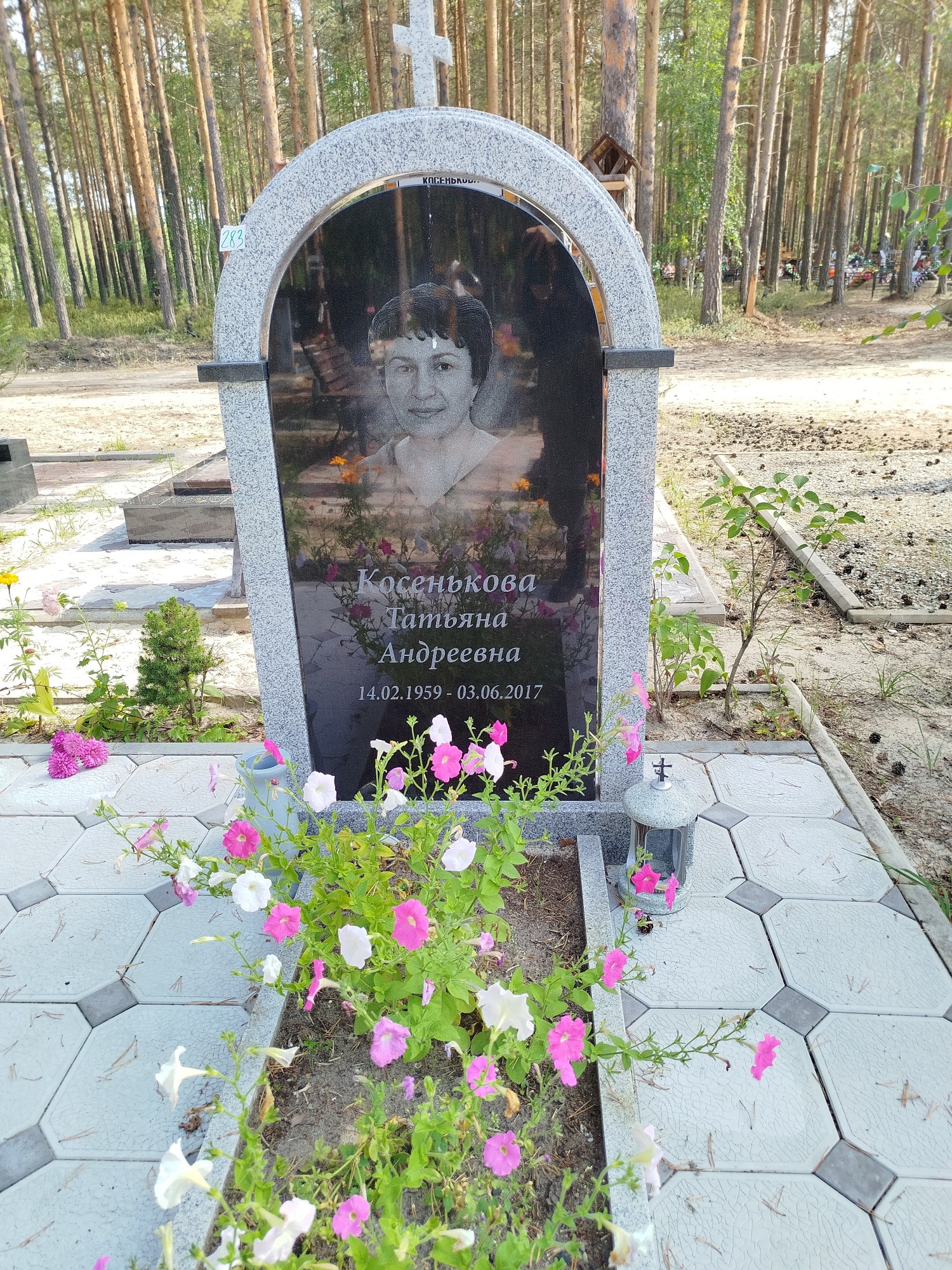Косенькова Татьяна Андреевна