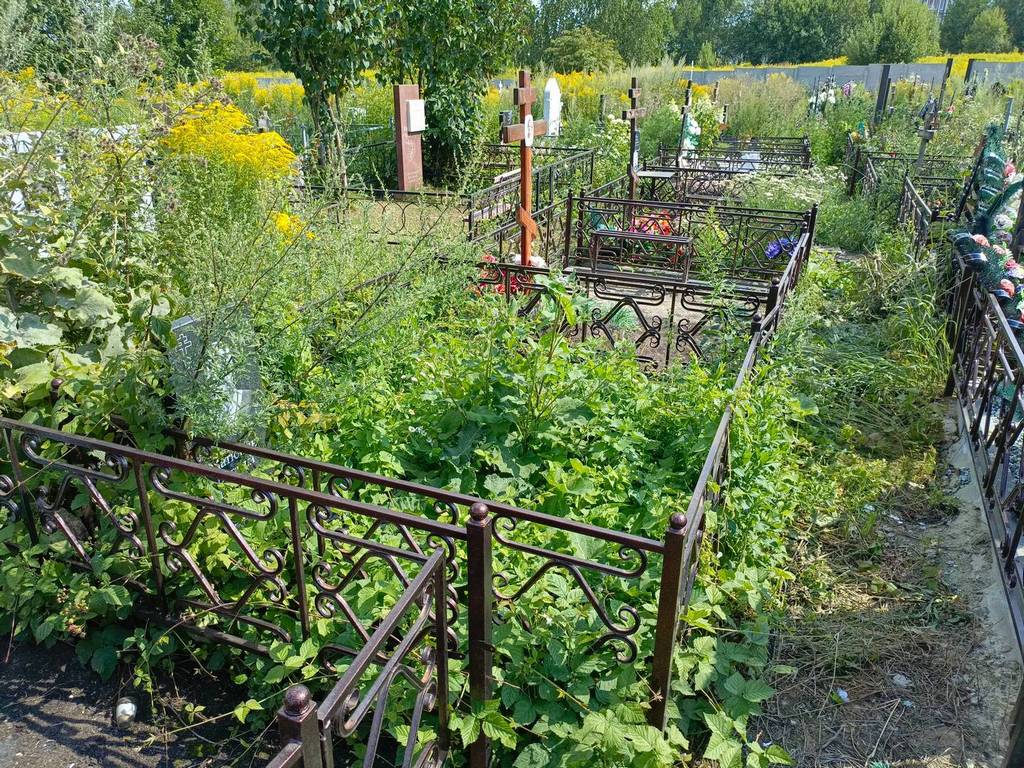 Матюнин Виталий Николаевич