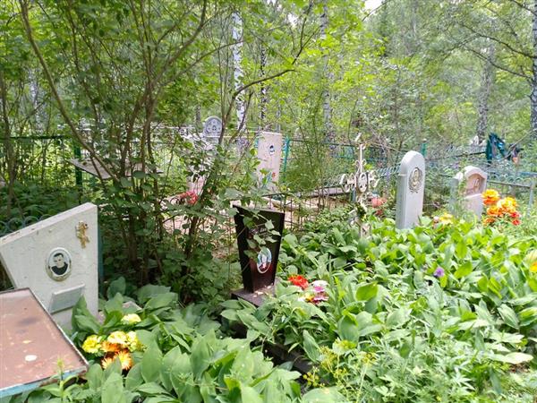 Книга Анатолий Харитонович