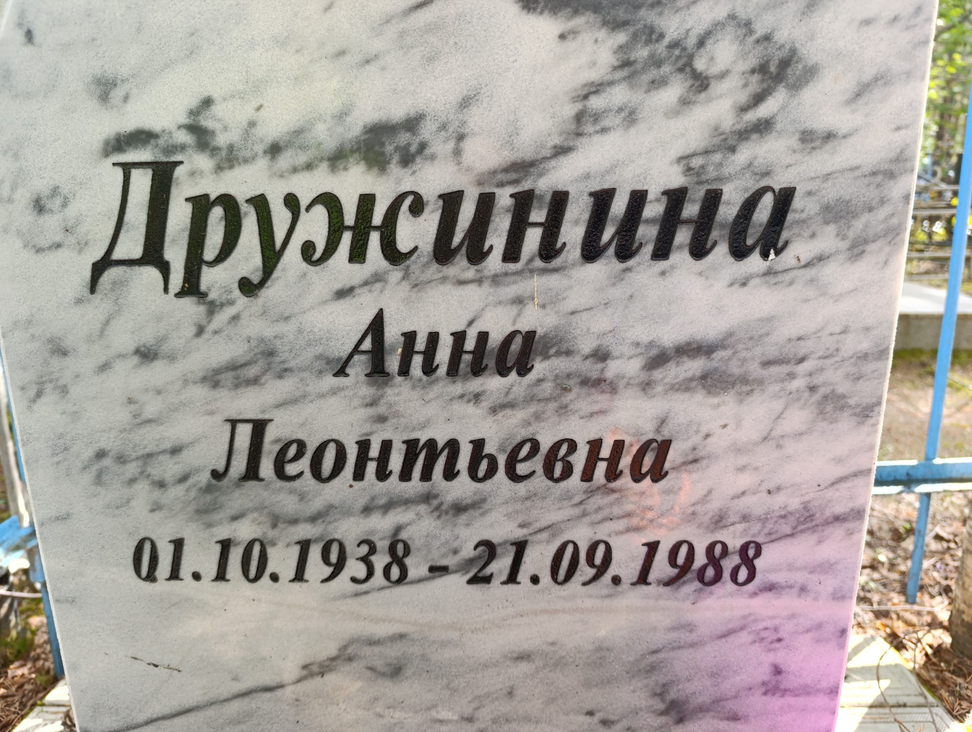 Дружинина Анна Леонтевна