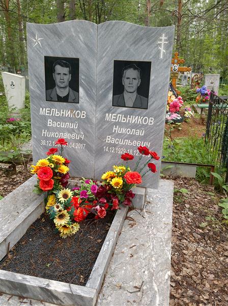 Мельников Николай Васильевич