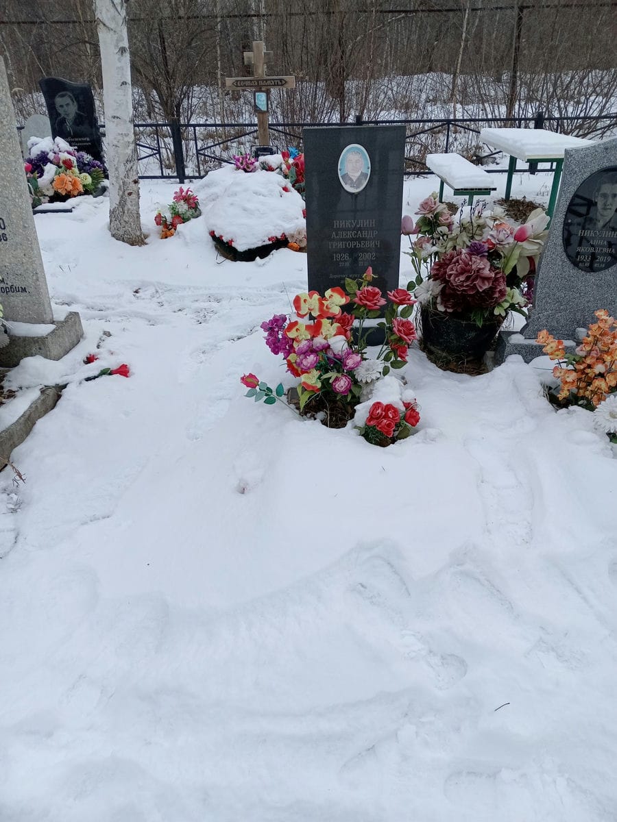 Никулин Александр Григорьевич