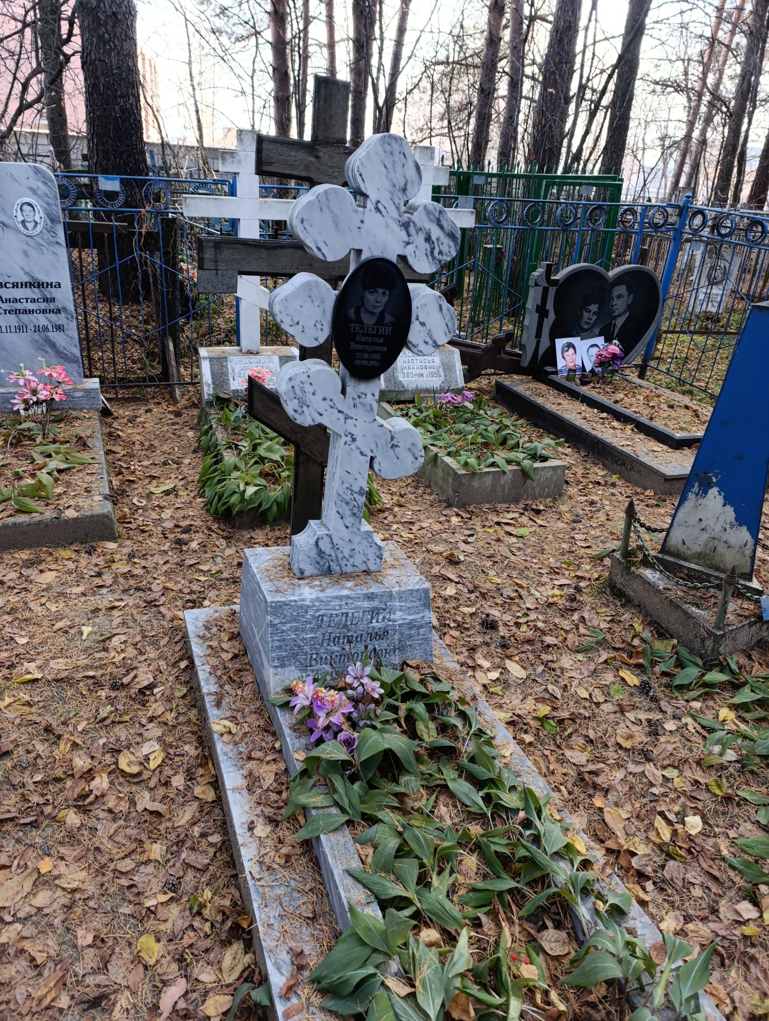 Телегий Наталья Викторовна