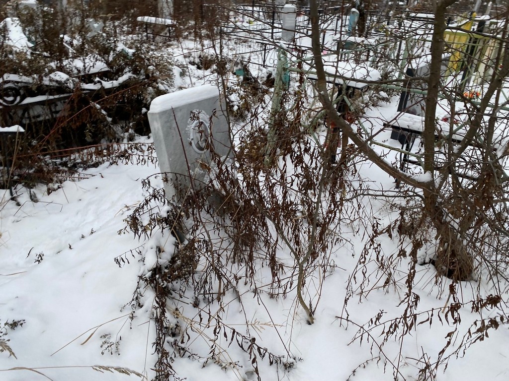 Лебедь Раиса Николаевна