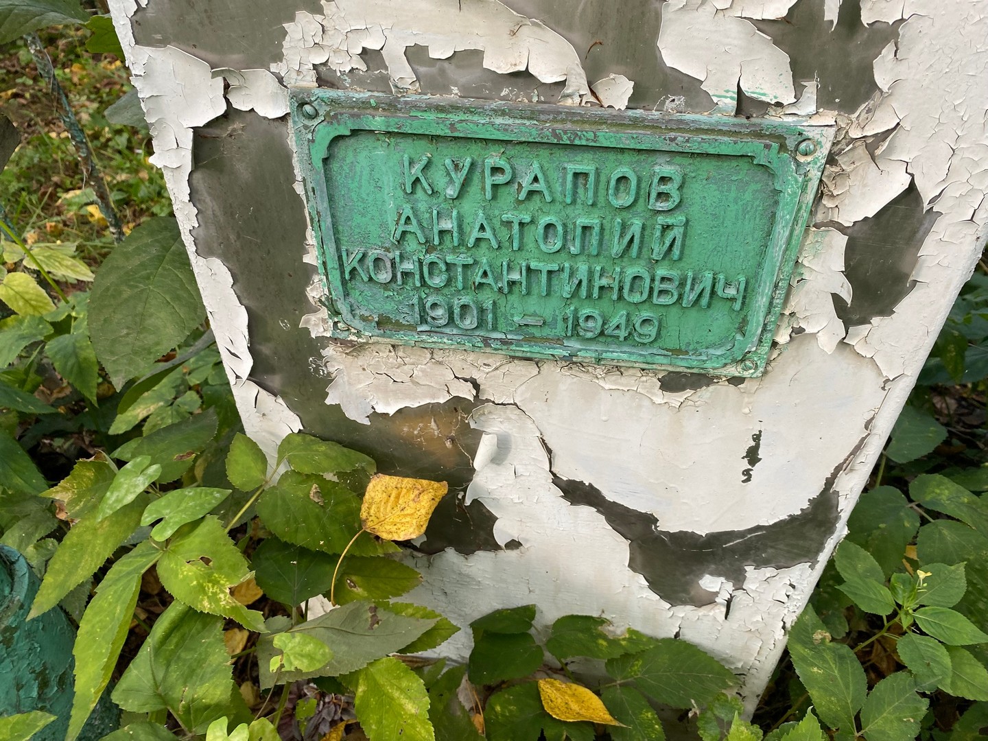 Курапов