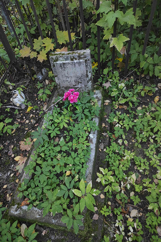 Соловьева Анна Дмитриевна