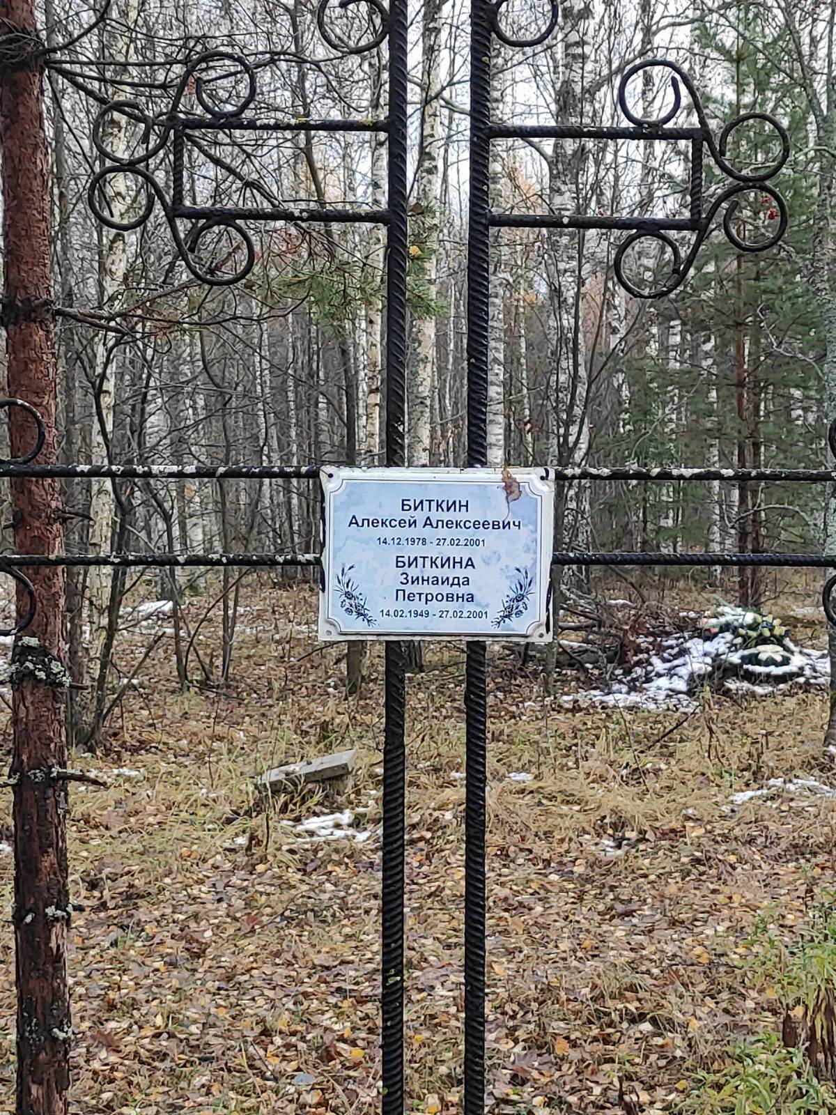 Биткин Алексей Алексеевич