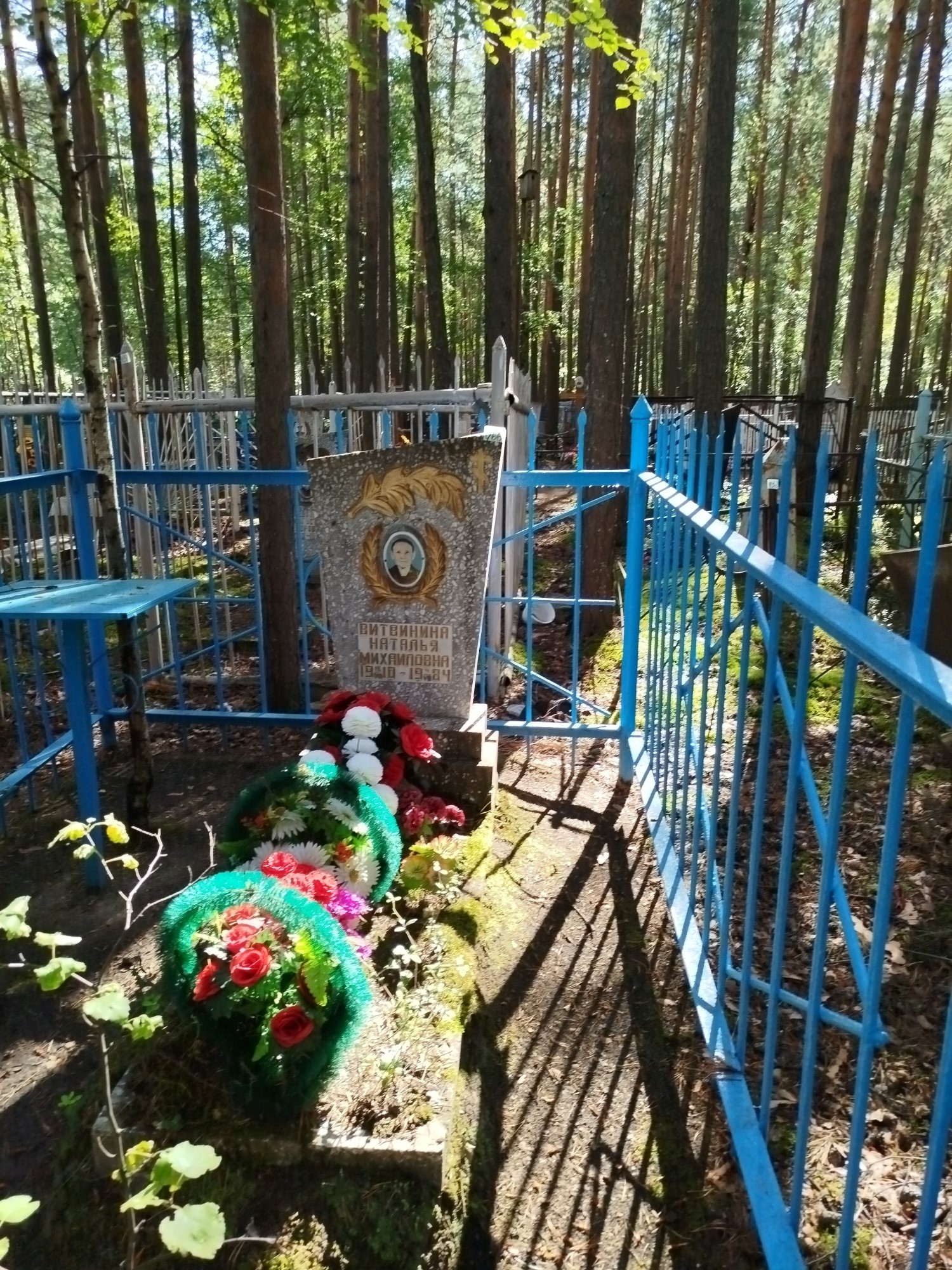 Витвинина Наталья Михайловна