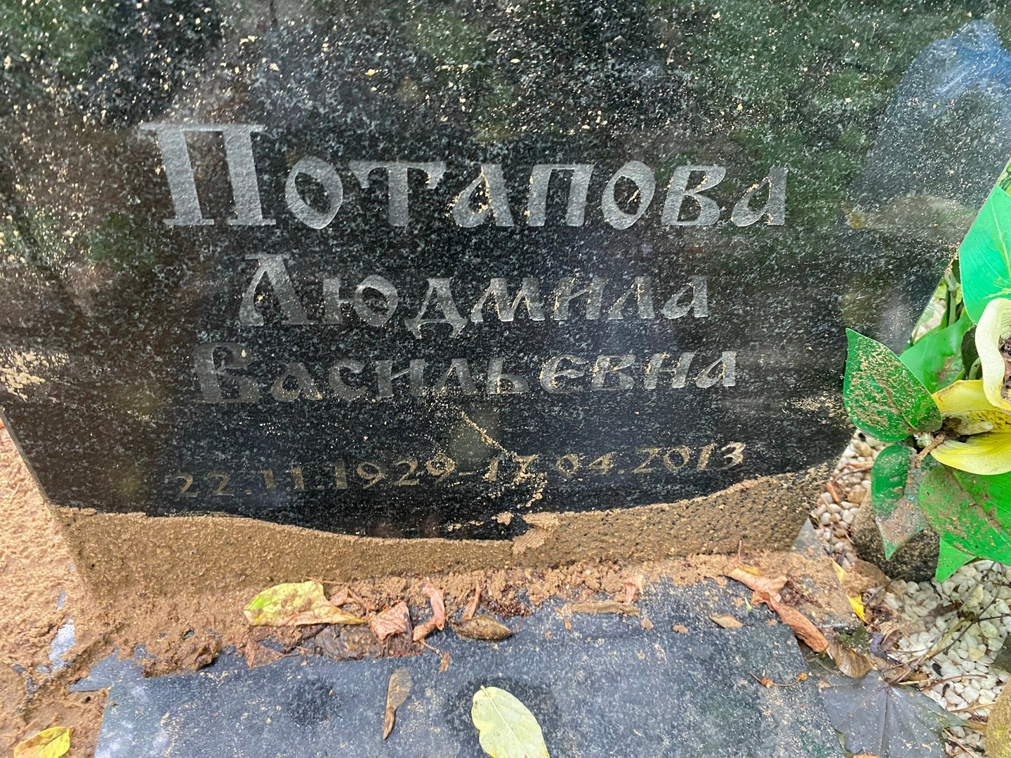 Потапова