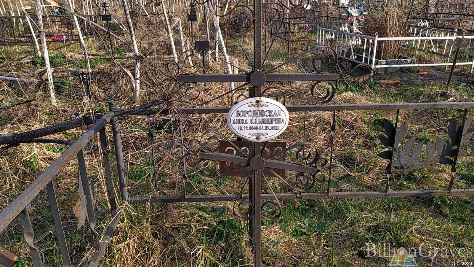 Бородовская Анна Ильинична