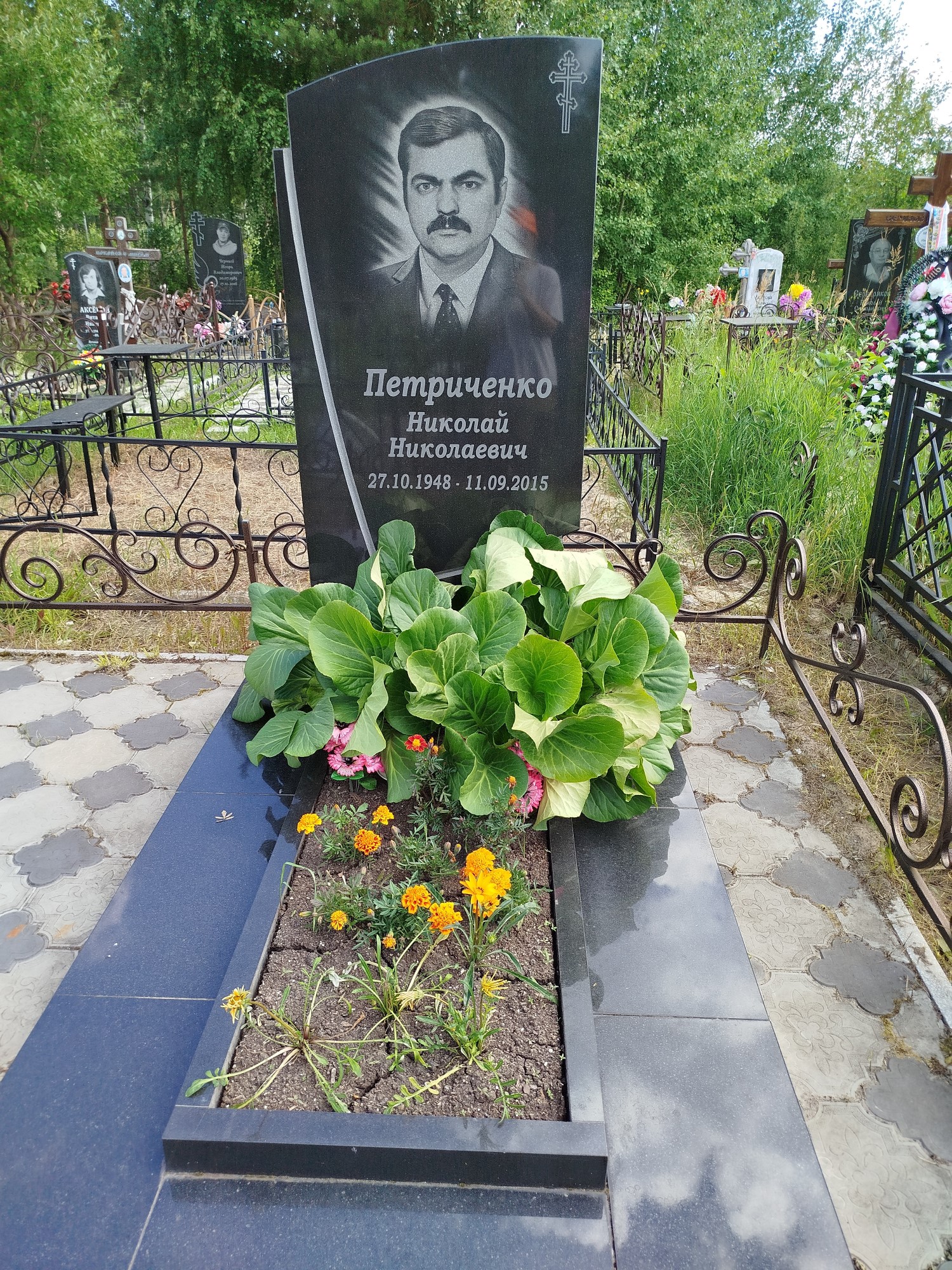 Петриченко Николай Николаевич