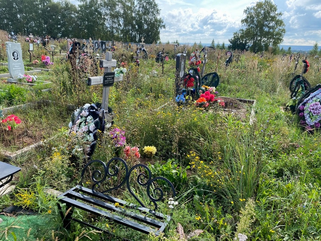 Чекушкина Ольга Николаевна