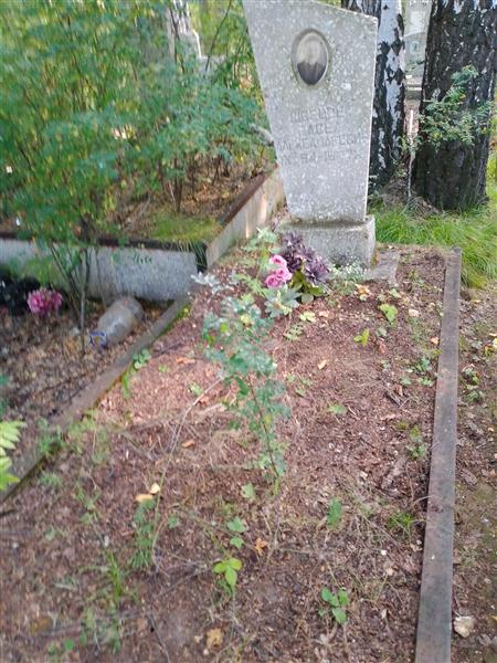 Швецов Павел Александрович