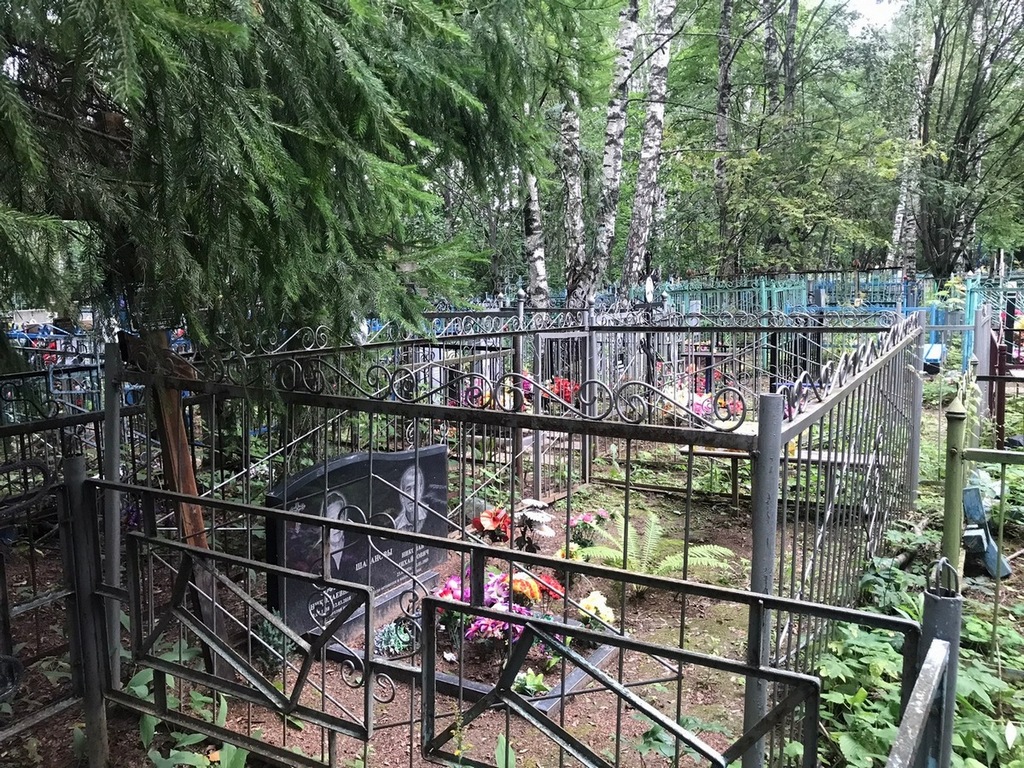 Шабанова София Николаевна