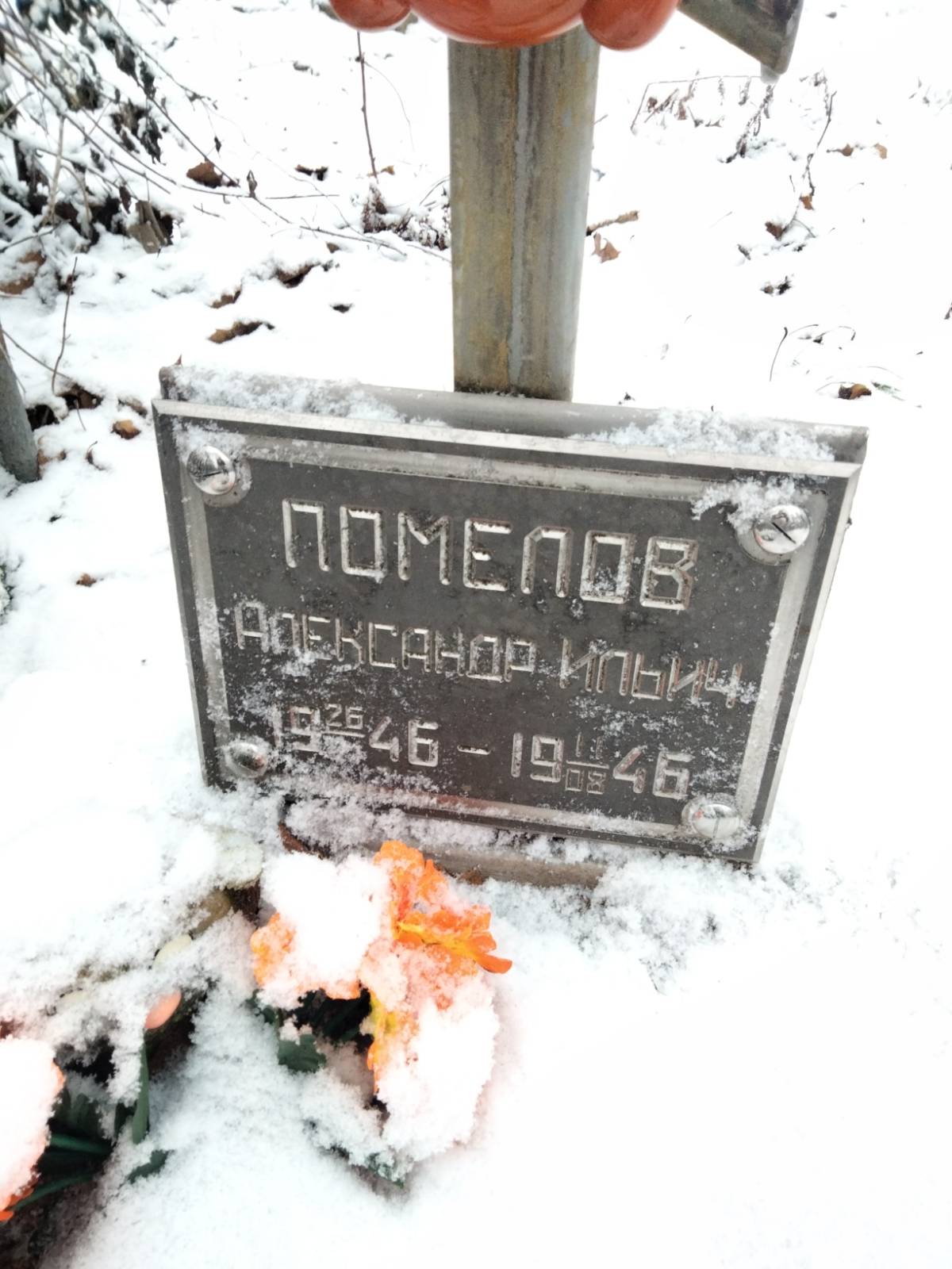 Помелов Александр Ильич