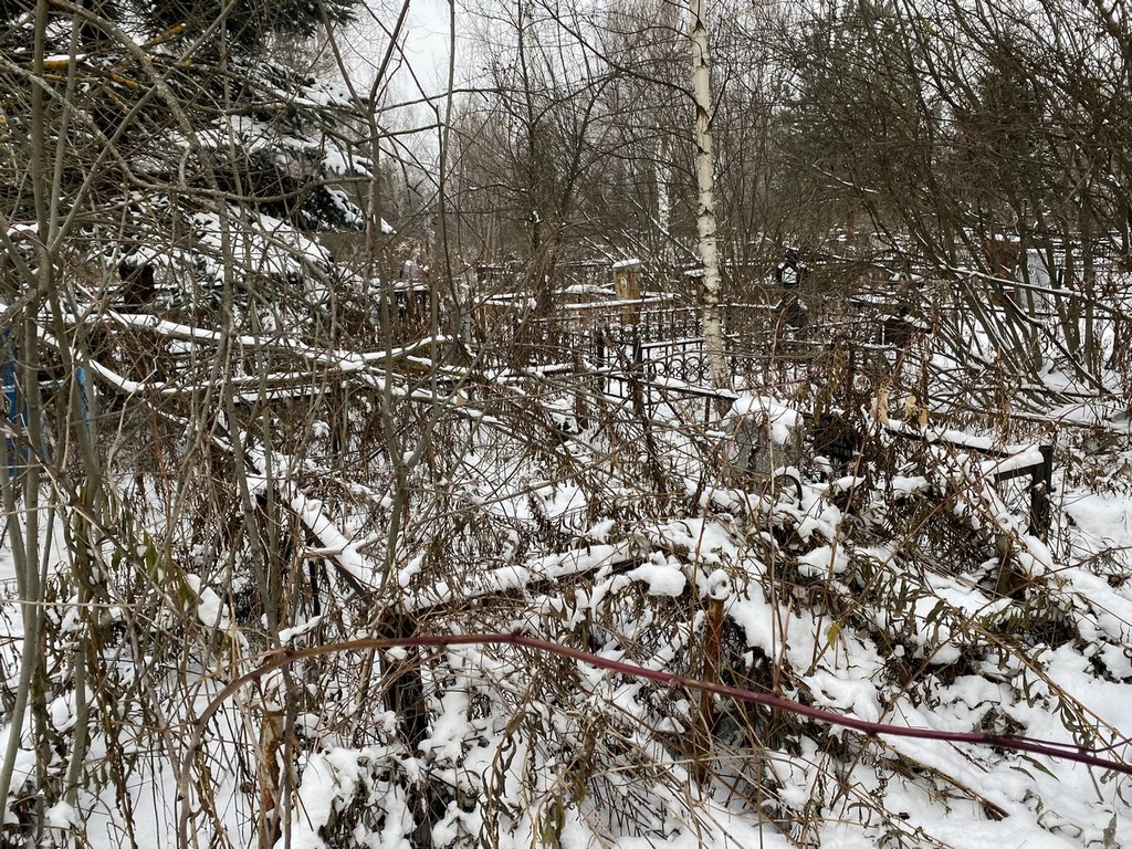Рыбакова Евлампия Николаевна