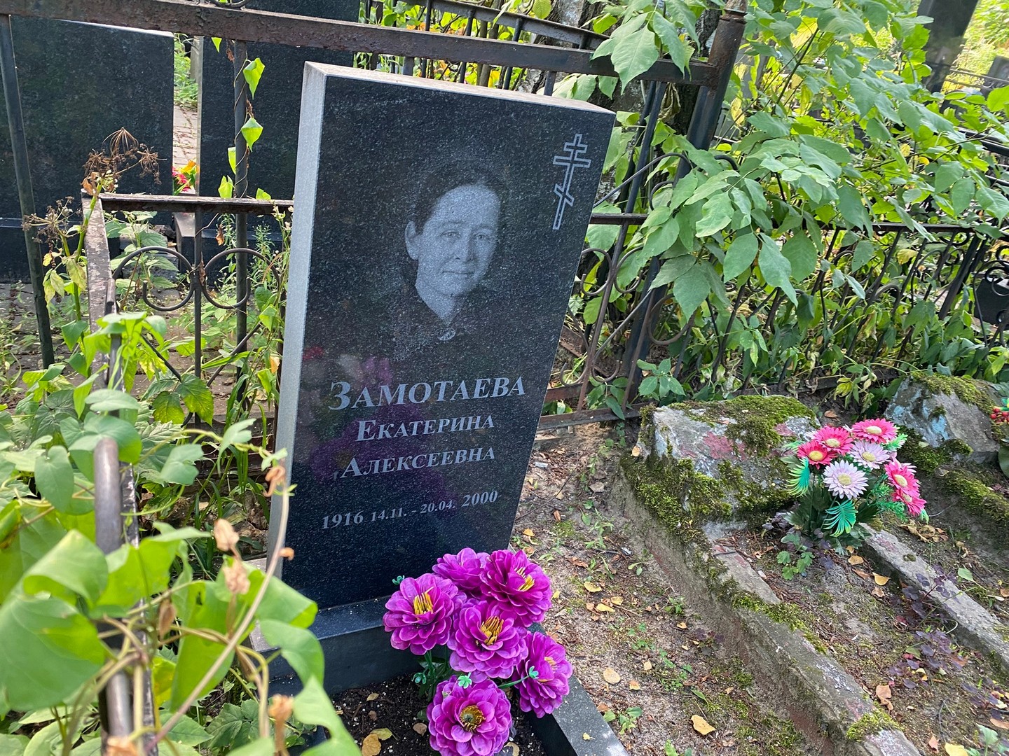 Замотаева